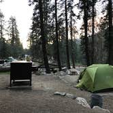 Review photo of Lodgepole Campground — Sequoia National Park by Susan V., June 14, 2021