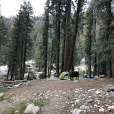Review photo of Lodgepole Campground — Sequoia National Park by Susan V., June 14, 2021