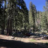 Review photo of Lodgepole Campground — Sequoia National Park by Susan V., June 14, 2021