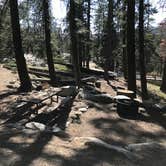 Review photo of Lodgepole Campground — Sequoia National Park by Susan V., June 14, 2021