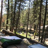 Review photo of Lodgepole Campground — Sequoia National Park by Susan V., June 14, 2021