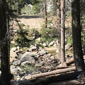 Review photo of Lodgepole Campground — Sequoia National Park by Susan V., June 14, 2021