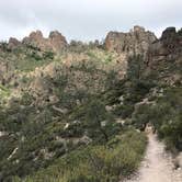 Review photo of Pinnacles Campground — Pinnacles National Park by Susan V., June 14, 2021