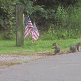 Review photo of Shenango Campground by Kelly M., June 9, 2018