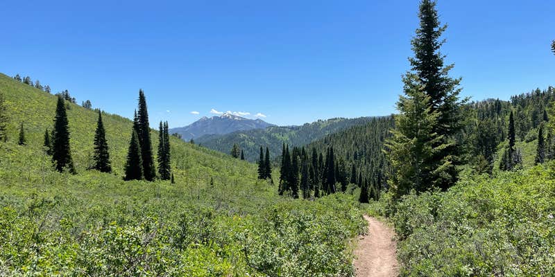 Camper submitted image from Fall Creek dispersed