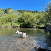 Review photo of Fall Creek dispersed by Jessica , June 14, 2021