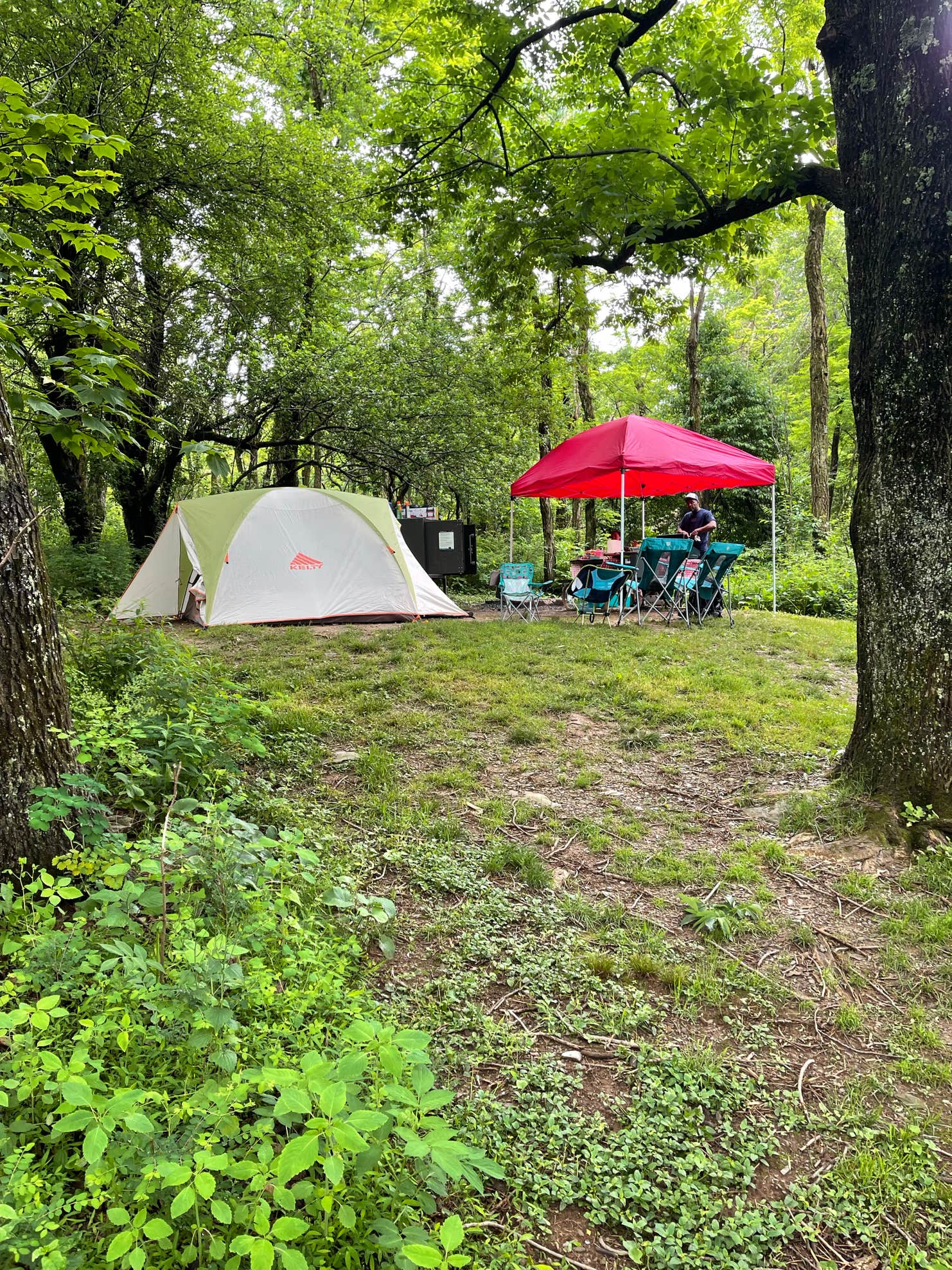 Loft Mountain Campground The Dyrt