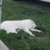 Review photo of Hitchcock County Nature Center by Jessica , June 14, 2021