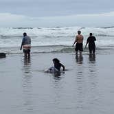 Review photo of Beverly Beach State Park Campground by Elaine U., June 14, 2021