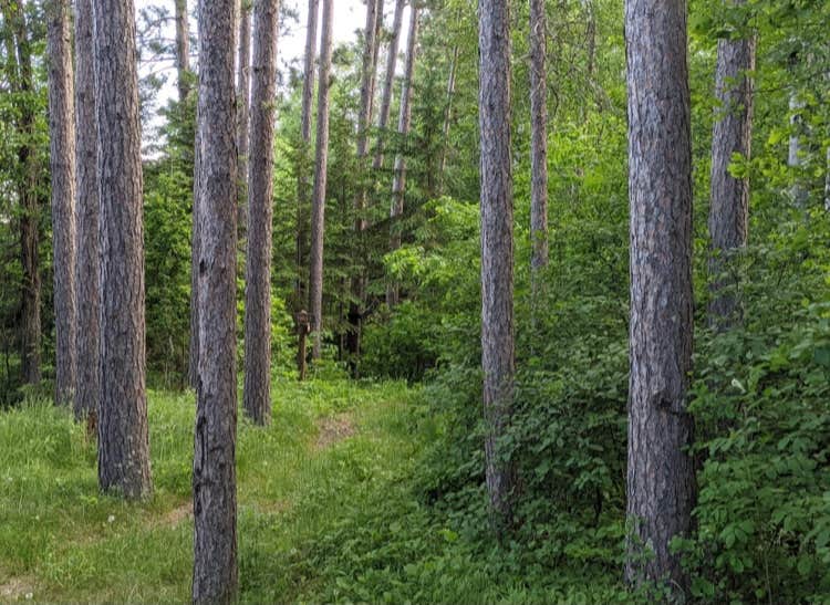 Camping near COE Leech Lake Reservoir Leech Lake Recreation Area: Crazy James Water Trail - Campsite for Paddlers, Deer River, Minnesota