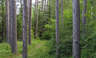 Camping near Leech Lake Recreation Area & Campground: Crazy James Water Trail - Campsite for Paddlers, Deer River, Minnesota