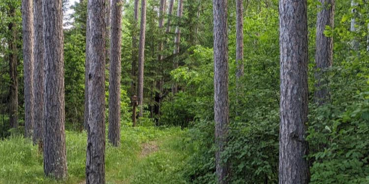 Camper submitted image from Crazy James Water Trail - Campsite for Paddlers