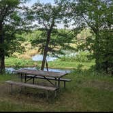 Review photo of Crazy James Water Trail - Campsite for Paddlers by Janet R., June 14, 2021