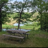 Review photo of Crazy James Water Trail - Campsite for Paddlers by Janet R., June 14, 2021