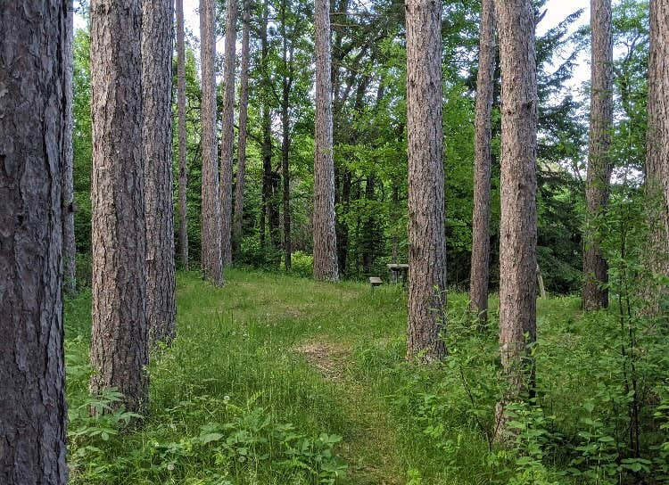 Camper-submitted photo at Crazy James Water Trail - Campsite for Paddlers near Blackduck, MN