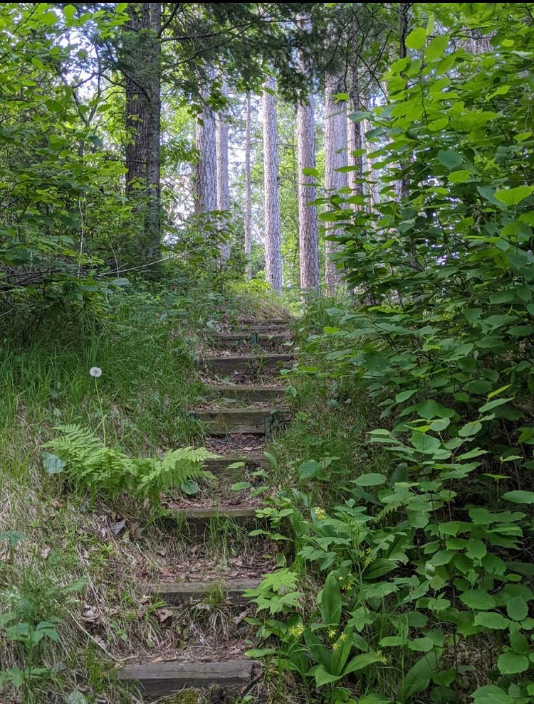Camper-submitted photo at Crazy James Water Trail - Campsite for Paddlers near Blackduck, MN