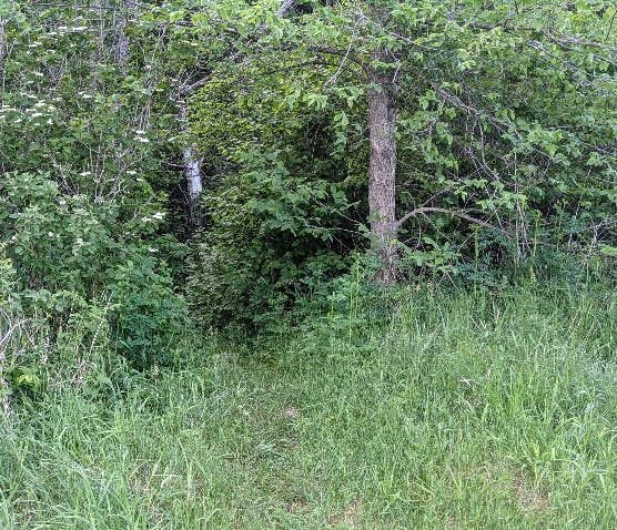 Camper-submitted photo at Crazy James Water Trail - Campsite for Paddlers near Blackduck, MN