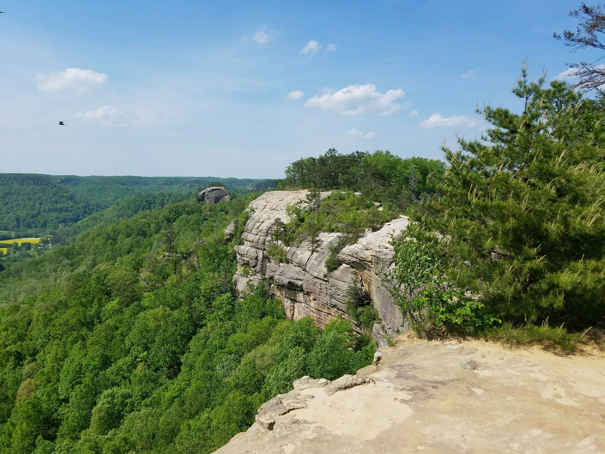 Camper submitted image from Red River Gorge Campground - 1