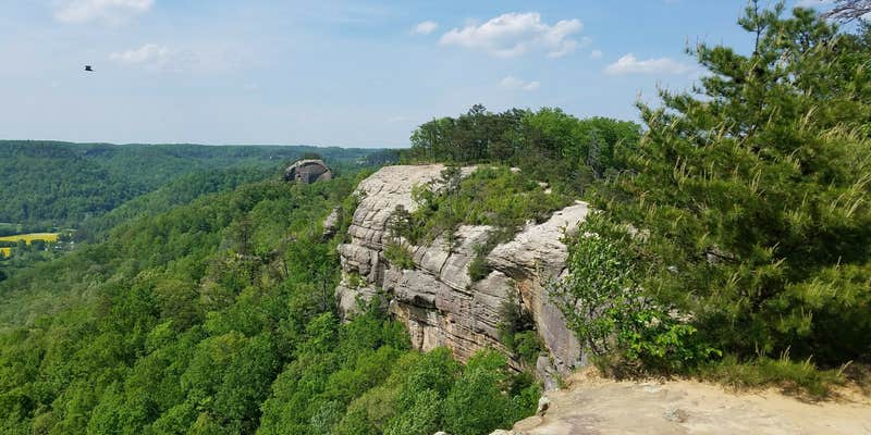 Camper submitted image from Red River Gorge Campground
