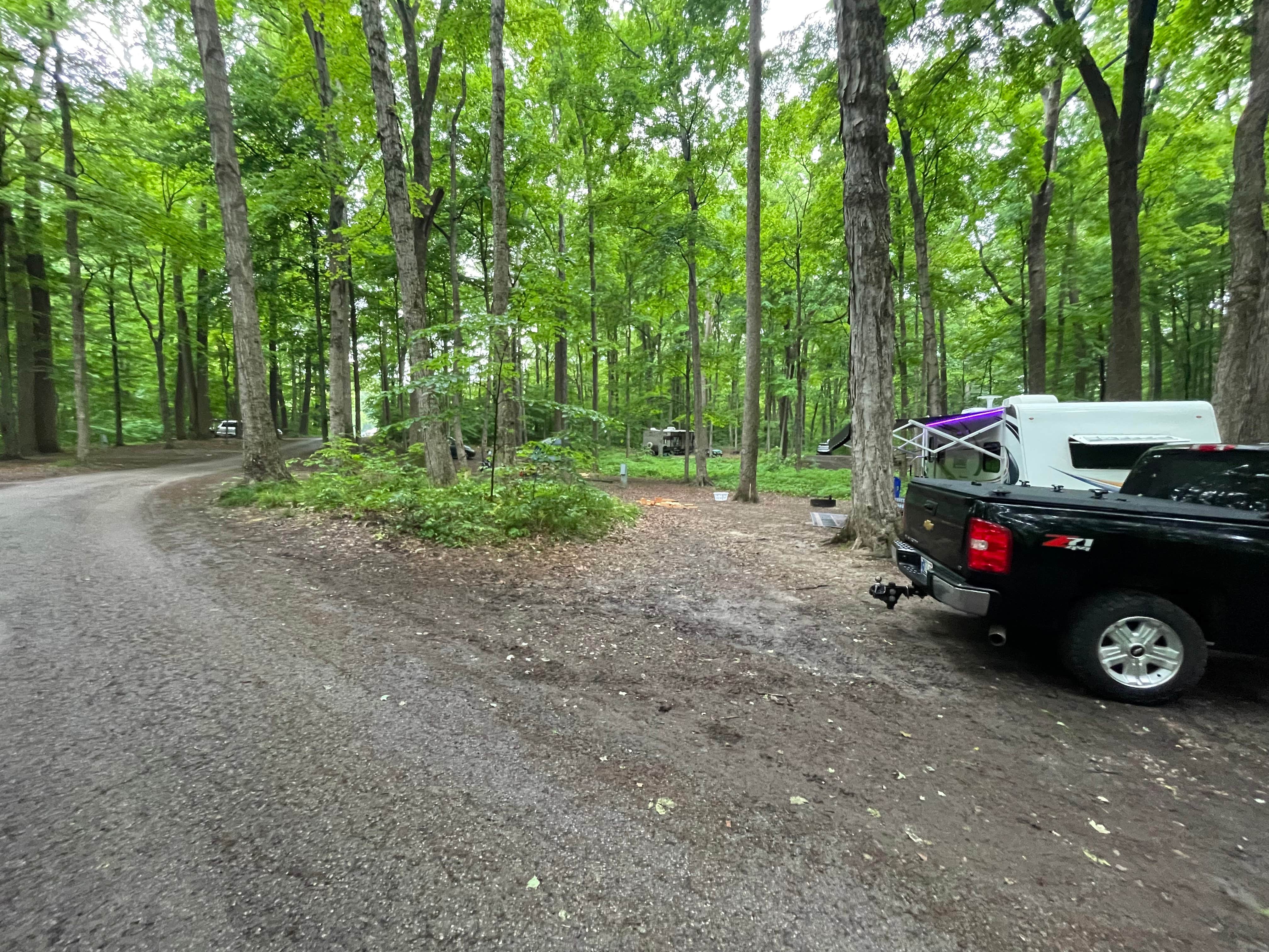 Turkey Run State Park Campground The Dyrt