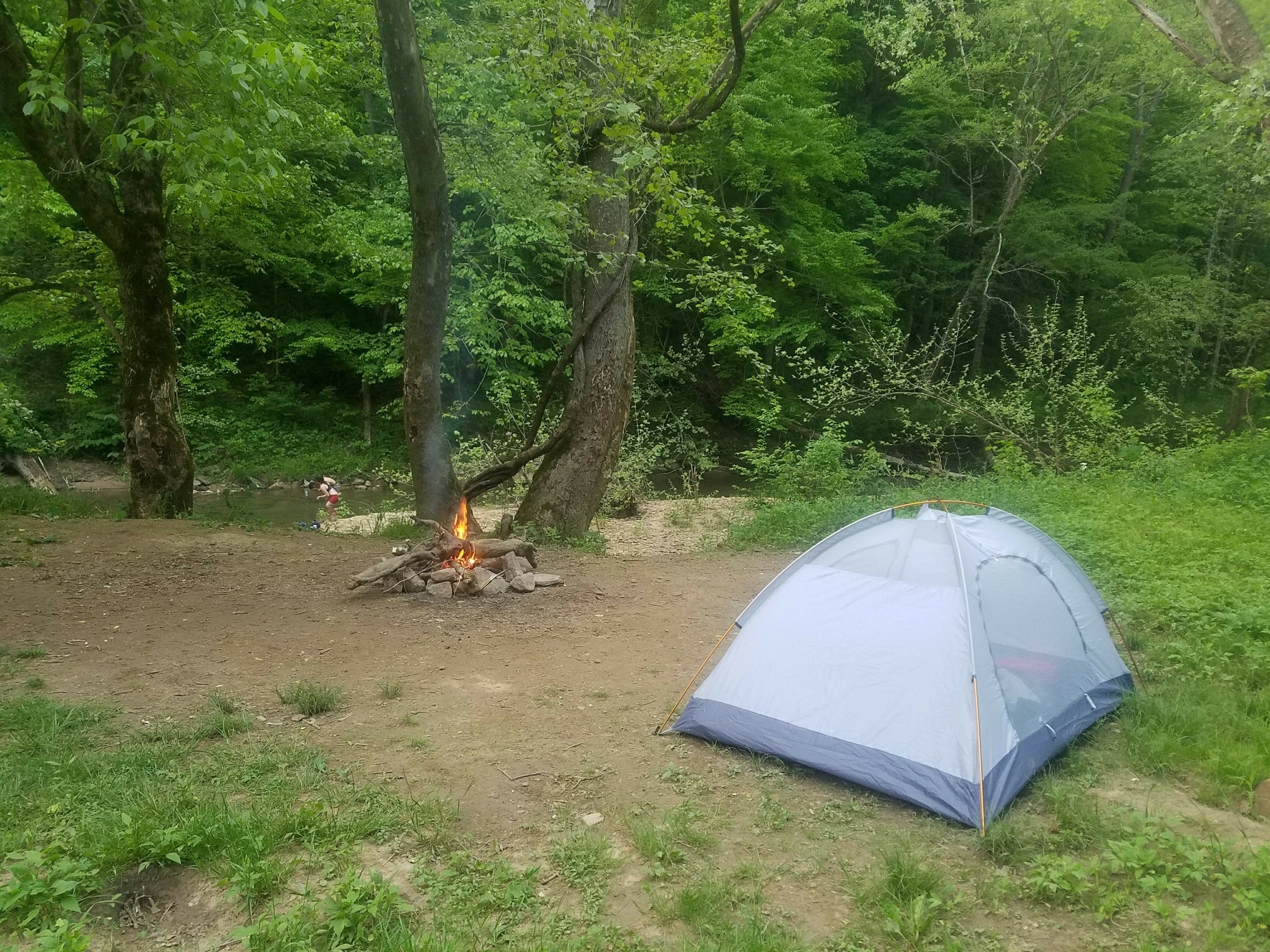 Camper submitted image from Red River Gorge Campground - 5