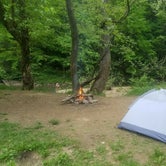 Review photo of Red River Gorge Campground by Ted B., June 9, 2018