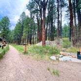 Review photo of San Antonio Campground by Katriza L., June 14, 2021