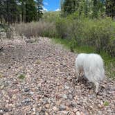 Review photo of San Antonio Campground by Katriza L., June 14, 2021