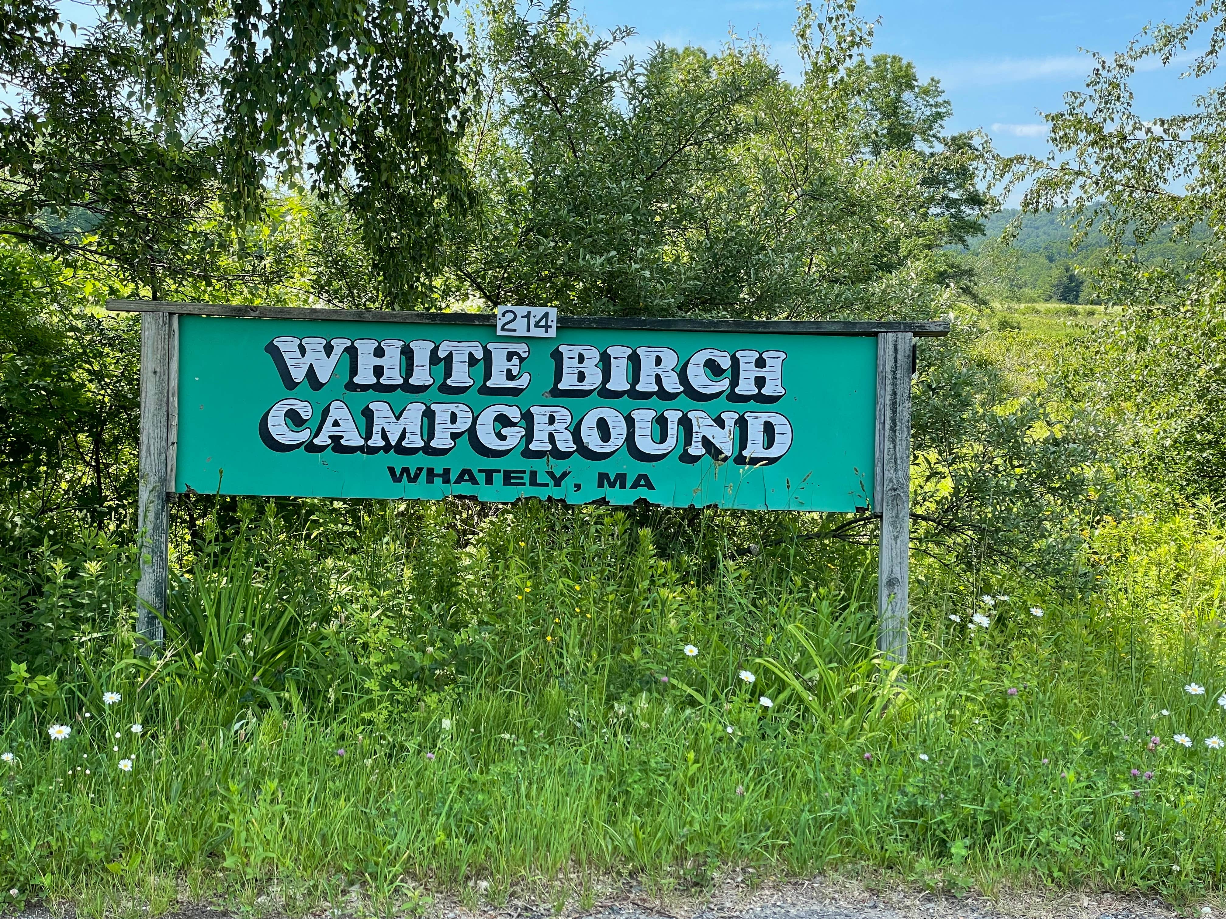 Camper submitted image from White Birch Campground - 1