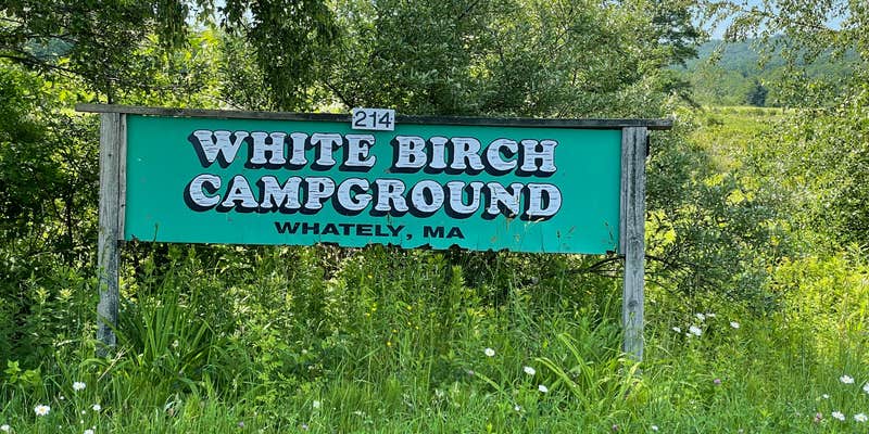 Camper submitted image from White Birch Campground