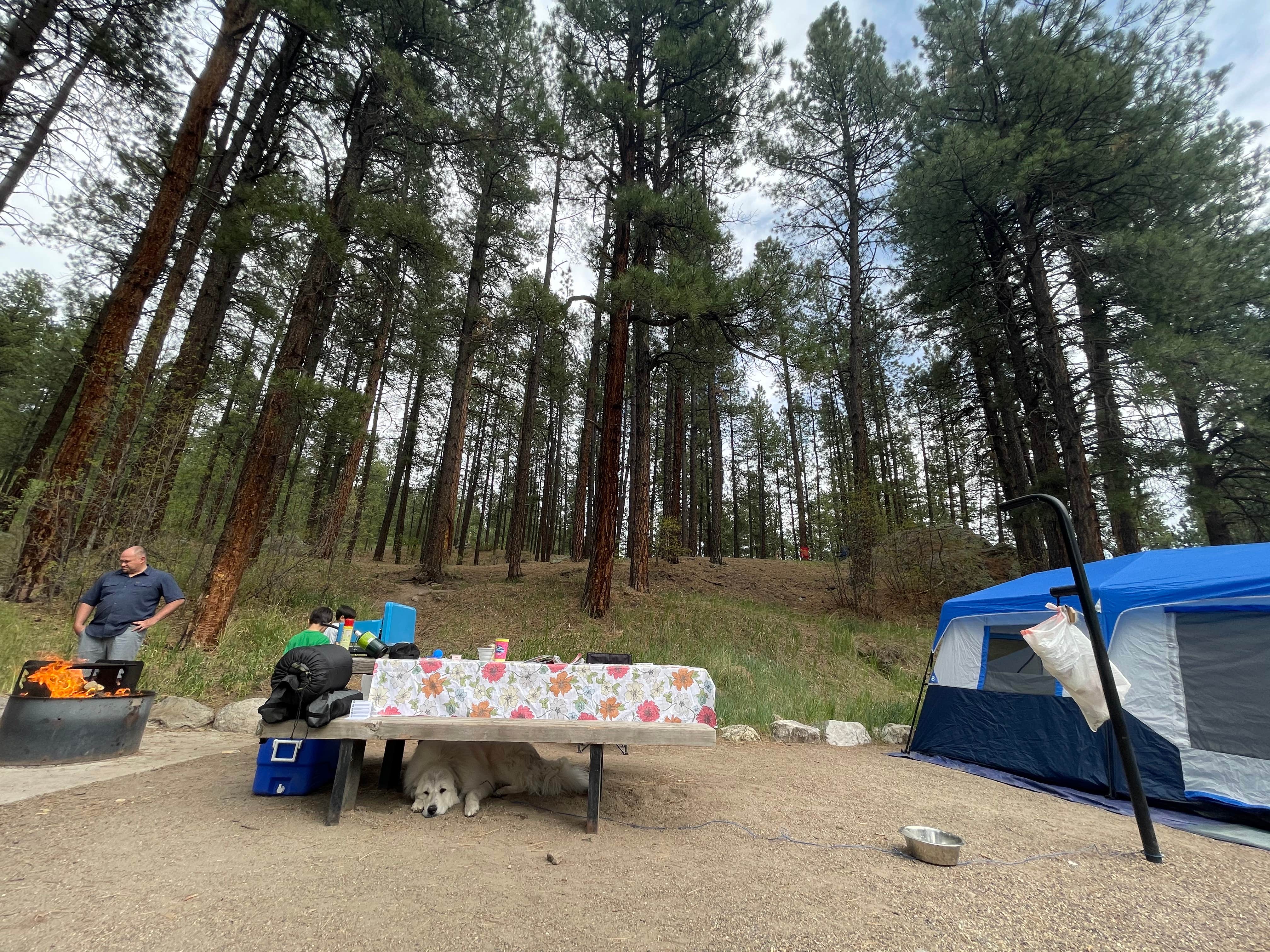Katriza L.'s photo at San Antonio Campground near Abiquiu Lake