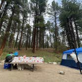 Review photo of San Antonio Campground by Katriza L., June 14, 2021