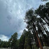 Review photo of San Antonio Campground by Katriza L., June 14, 2021