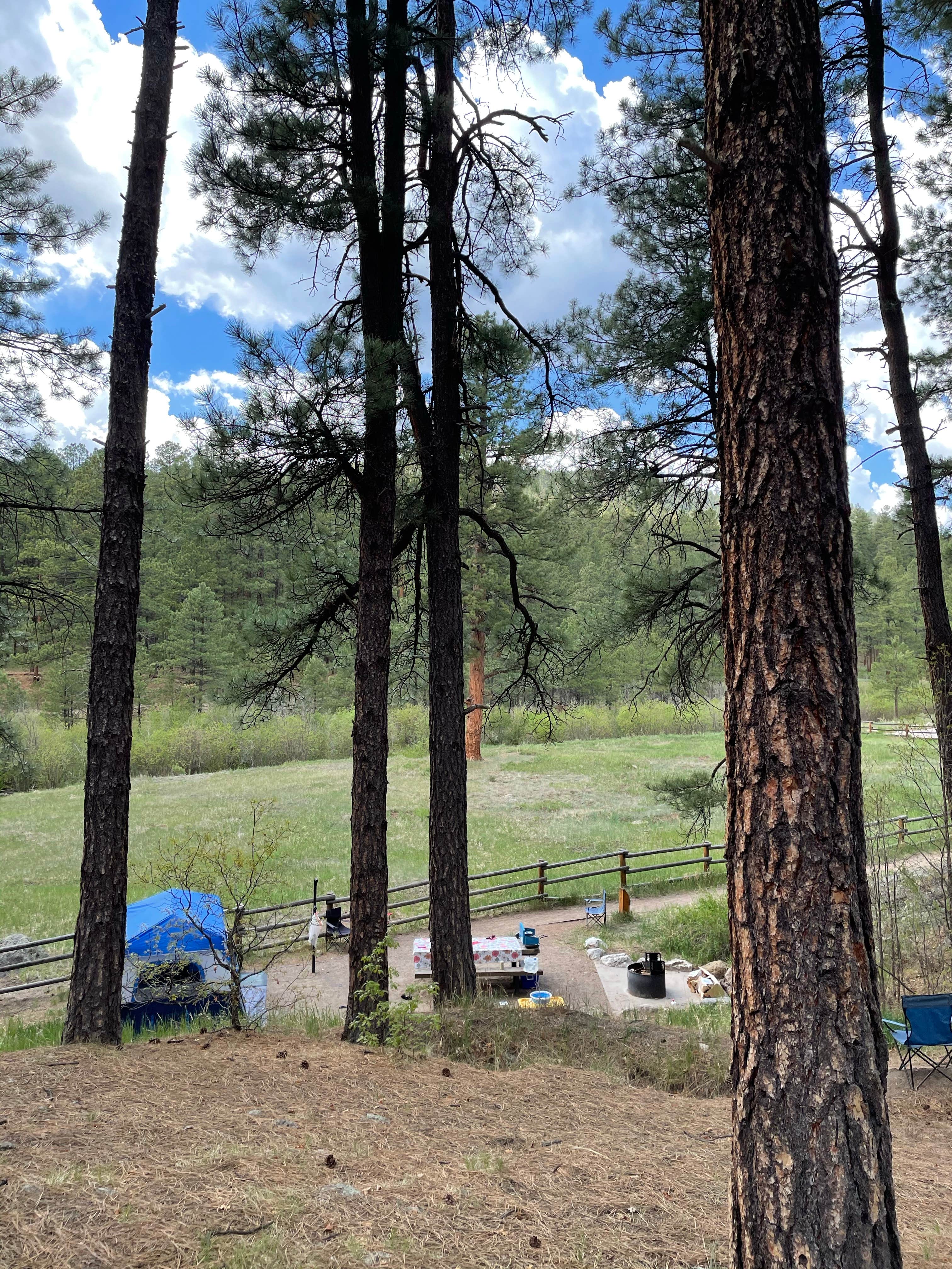 Katriza L.'s photo at San Antonio Campground near Jemez Springs, NM