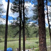 Review photo of San Antonio Campground by Katriza L., June 14, 2021