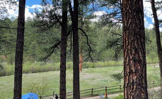 Katriza L.'s photo at San Antonio Campground near Cuba, NM