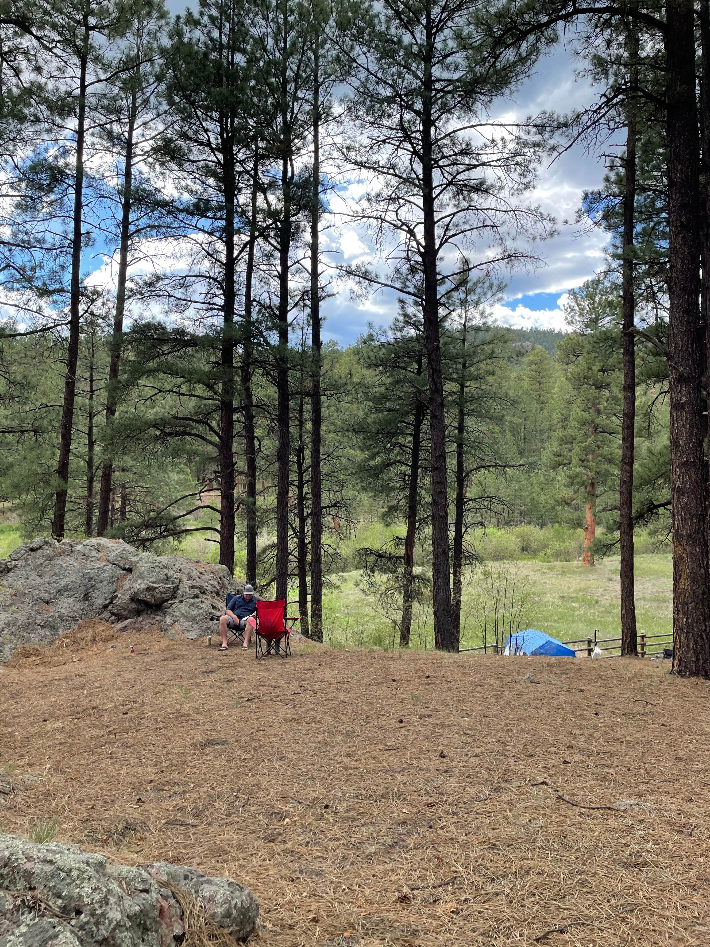 Vista Linda Campground The Dyrt