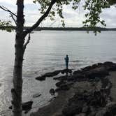 Review photo of Cobscook Bay State Park by Jacki B., June 9, 2018