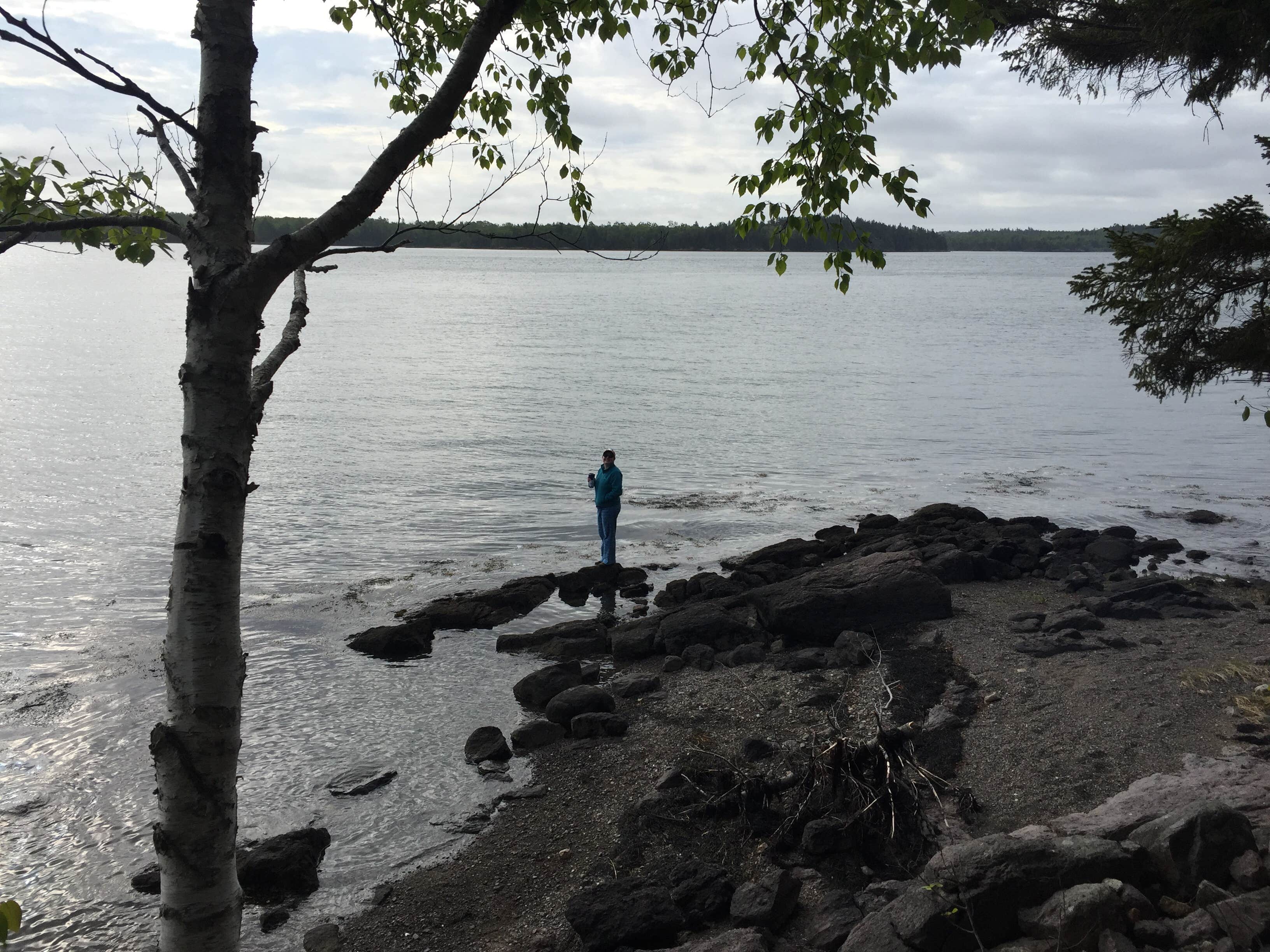 Camper submitted image from Cobscook Bay State Park - 2