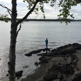 Review photo of Cobscook Bay State Park Campground by Jacki B., June 9, 2018