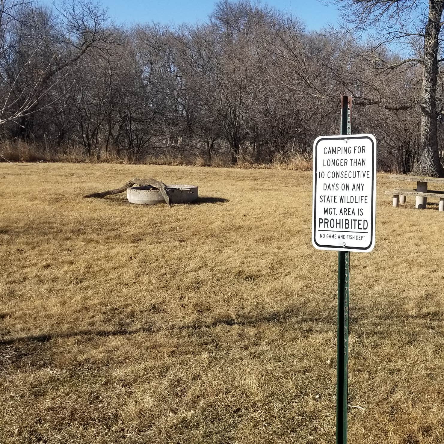 Faust Park Camping The Dyrt