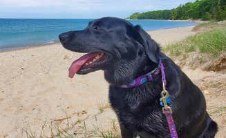 April S.'s photo of camping with pets at Barnes County Park Campground near Petoskey, MI