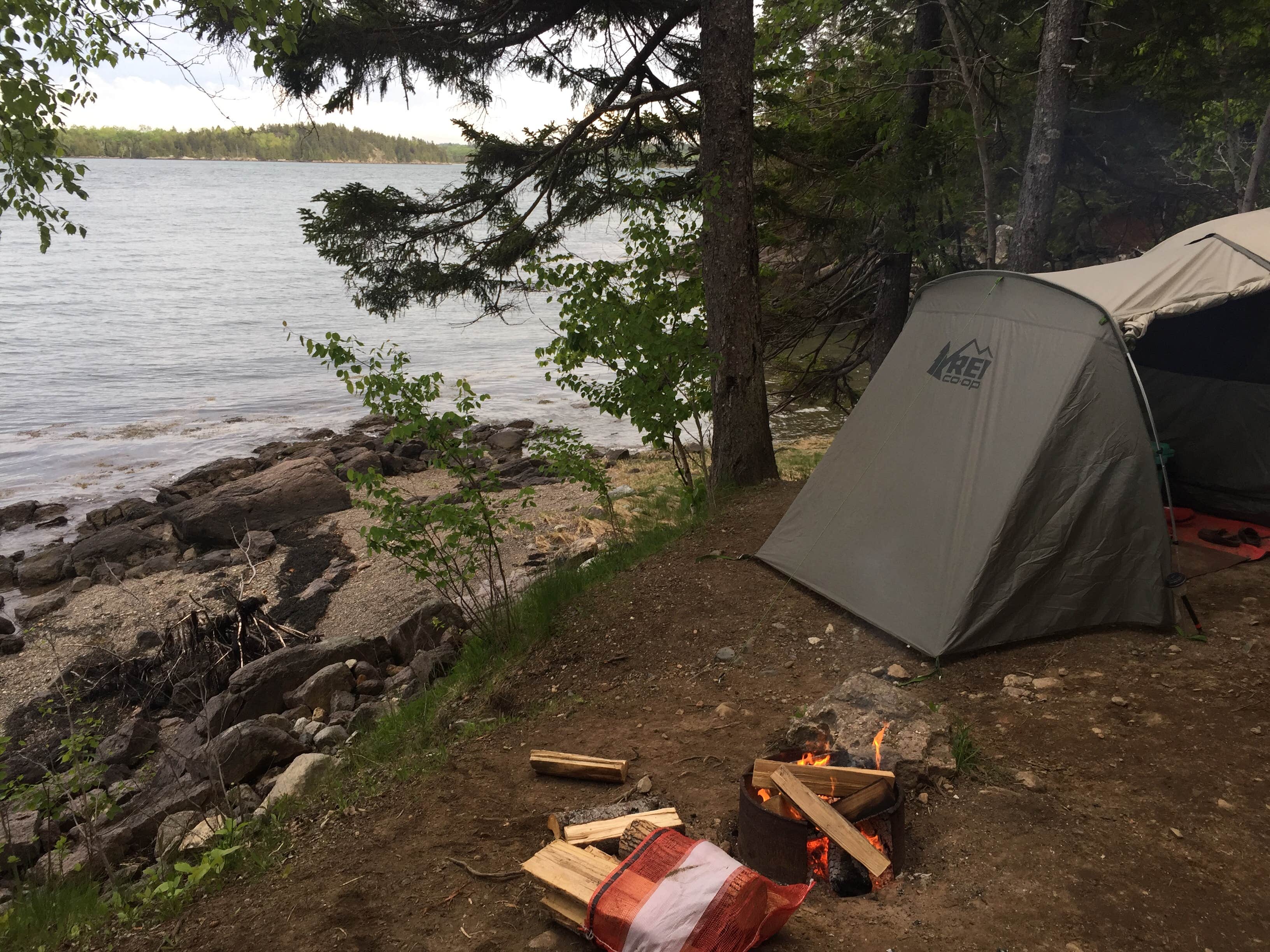 Camper submitted image from Cobscook Bay State Park Campground - 3