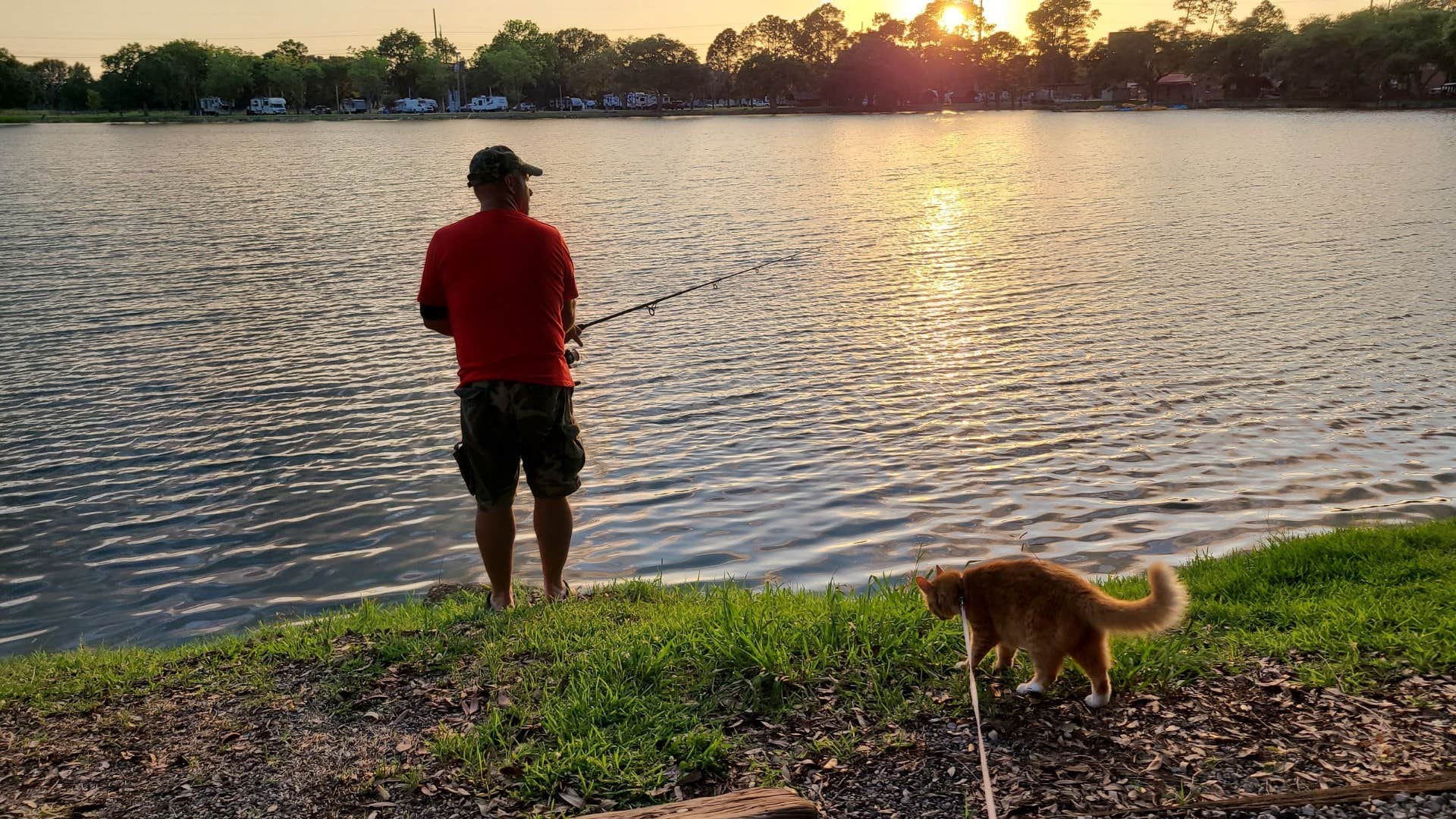 Cat R.'s photo of camping with pets at Lafayette KOA near Jennings, LA