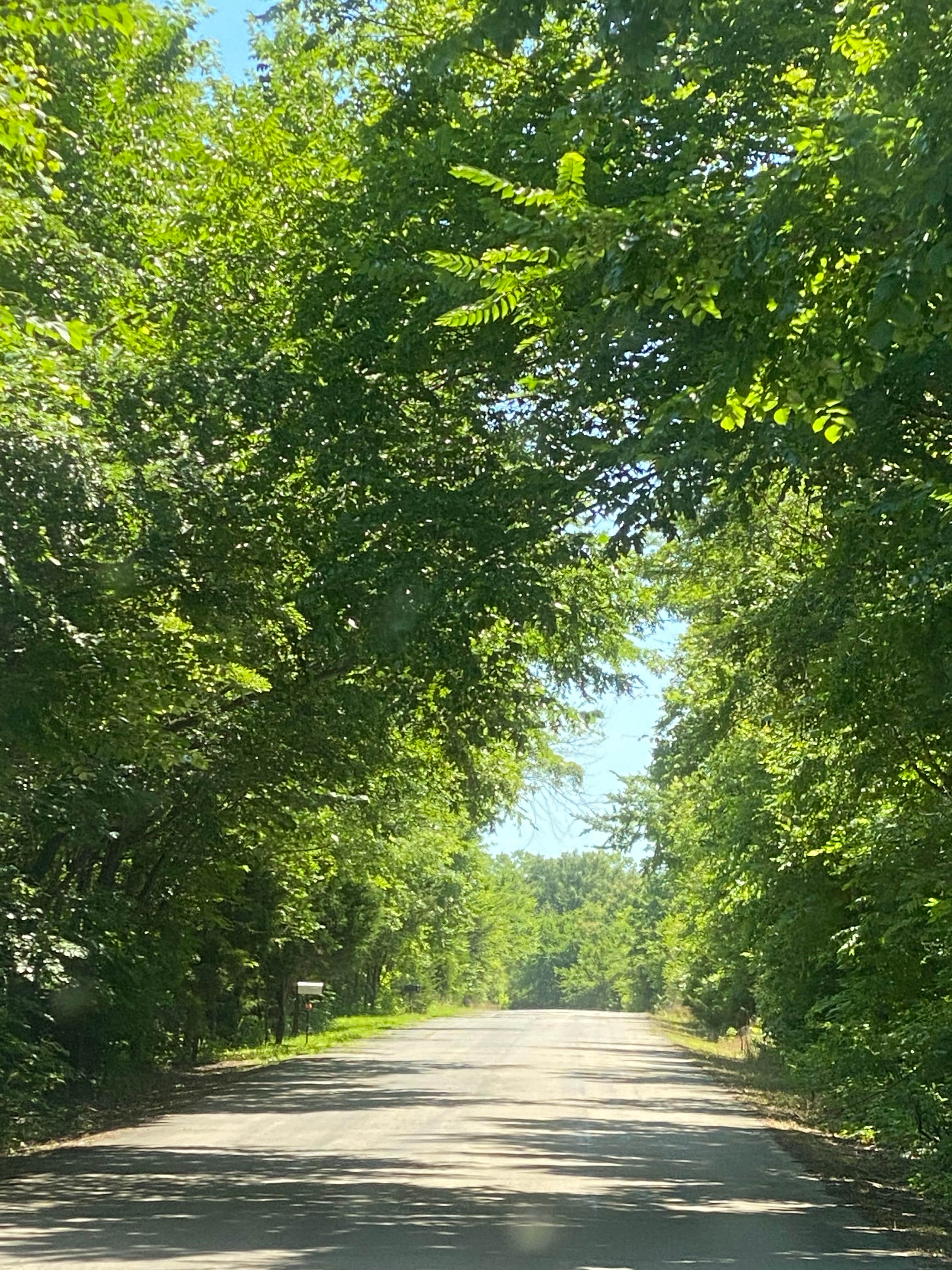 Camper submitted image from Checotah-Lake Eufaula KOA - 4