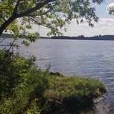 Review photo of Eggerts Landing by Jo Outdoors , June 14, 2021