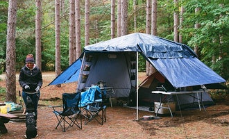 Camping near Seaton Creek Campground: Healy Lake State Forest Campground, Copemish, Michigan