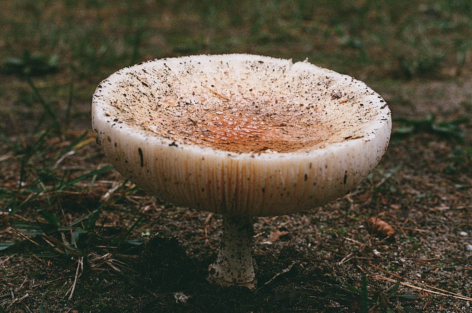 Camper-submitted photo at Healy Lake State Forest Campground near Kingsley, MI