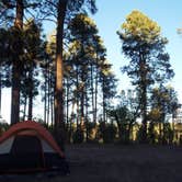 Review photo of Bear Canyon Lake and Camping Area by Shannon D., June 9, 2018