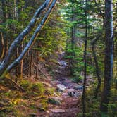 Review photo of Hermit Lake Shelters by Roger F., June 14, 2021